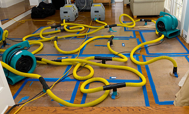 Professional Sewage Cleanup technician working in Centralia, MO